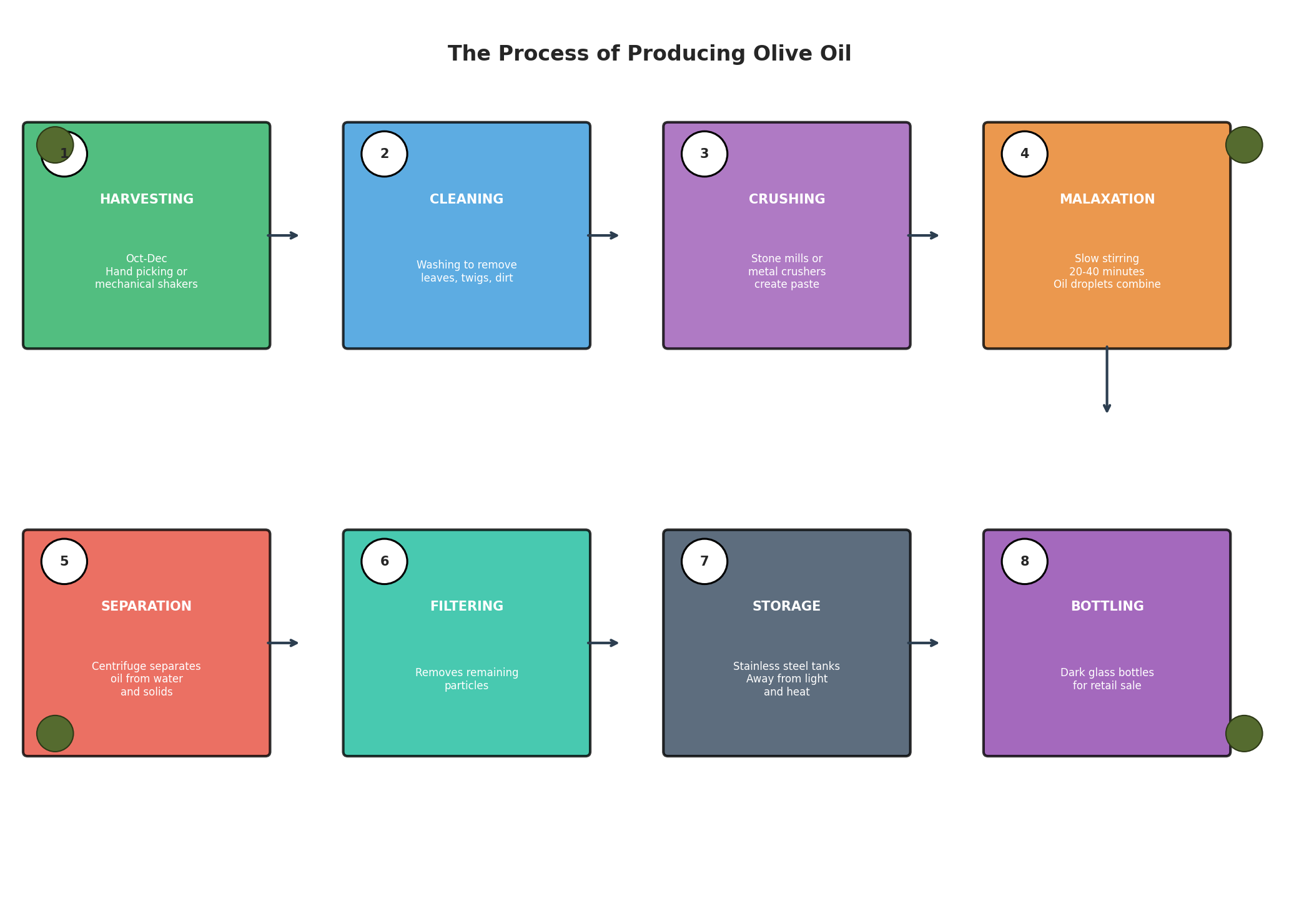 Diagram showing the process of producing olive oil